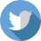 logo social-twitter.